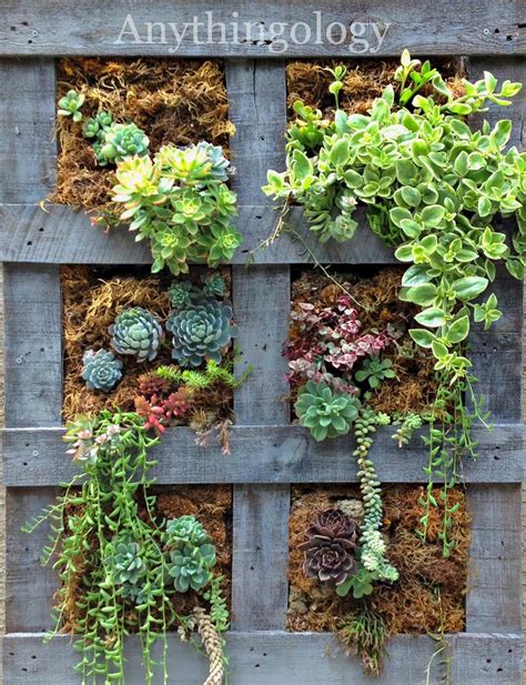 DIY Upcycled Wood Pallet Vertical Gardens - Decor Renewal | Vertical pallet garden, Vertical ...