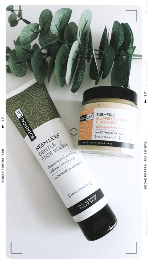 Botanical Lab Skincare Review Clay Mask And Face Wash The Daily Struggle