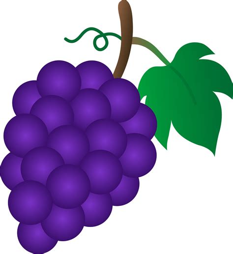 Grapes Vector Clipart Best