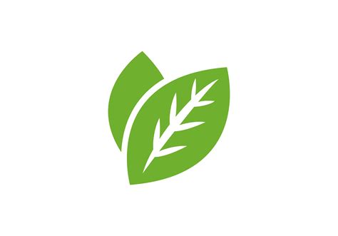 Leaf Logo No Background