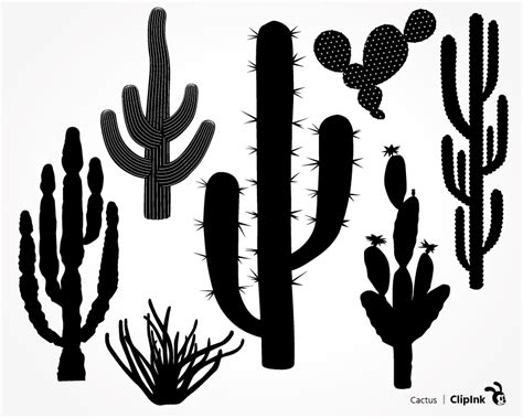Cactus svg, Succulent svg | svg, png, eps, dxf, pdf | ClipInk