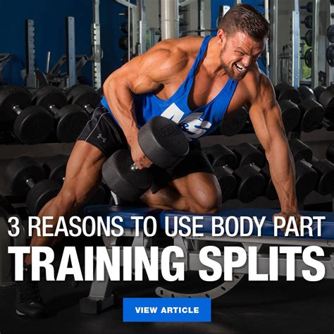 3 Reasons Why Body Part Training Splits Are Still Worthwhile Artofit
