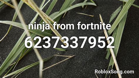 Ninja From Fortnite Roblox Id Roblox Music Codes