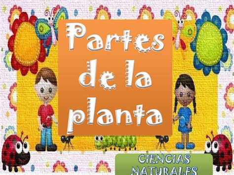 La Planta Y Sus Partes By Andrea Franco Issuu