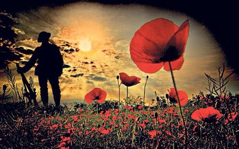 Poppies Soldier Silhouette Remembrance Day Poppy Anzac Day