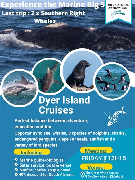 Gansbaai Blog Next Dyer Island Marine Big 5 Tour 3 June 2022 Xplorio
