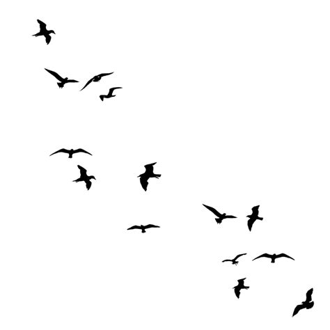 Drawing Birds Silhouette Flock Birds Png Download 800800 Free