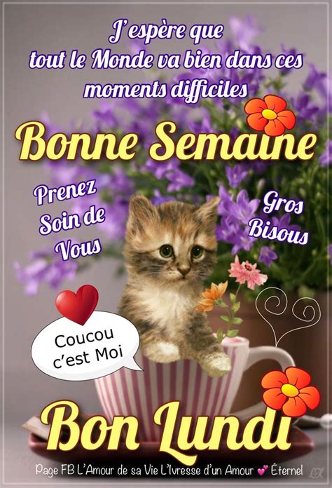 Bonne Semaine Bon Lundi Bon Lundi Bon Lundi  Bonjour Lundi