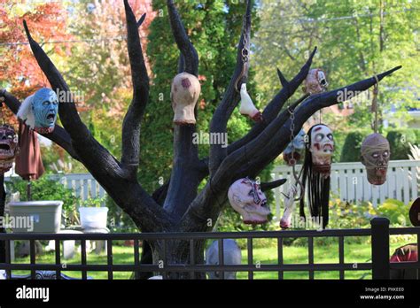 Tree Full Of Hanging Decapitated Heads As A Super Creepy Disturbing