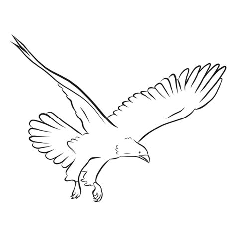 Eagle In Flight Sketch Vector Transparent Png And Svg Vector File