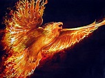 Phoenix illustration, fire, phoenix, birds HD wallpaper | Wallpaper Flare