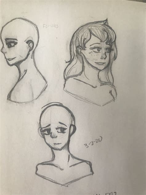Busts In 2020 Art Reference Art Drawings