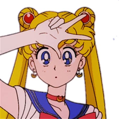 Download Aesthetic Sailor Moon Profile Png Image With No Background