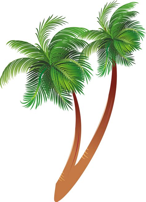 Download Free Download Cartoon Palm Tree Clipart Coconut Palm Palm
