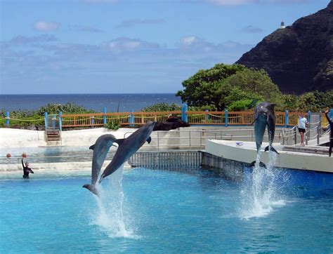 Sea Life Park Aquarium In Oahu Thousand Wonders