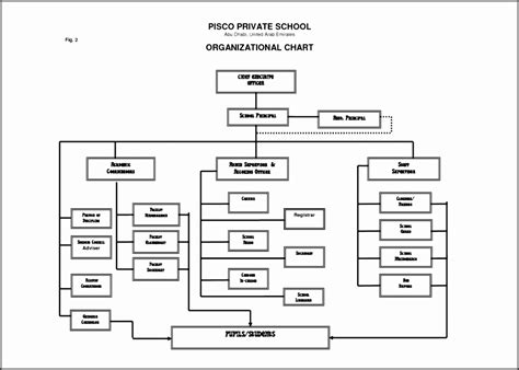 School Organizational Chart Examples Online Shopping