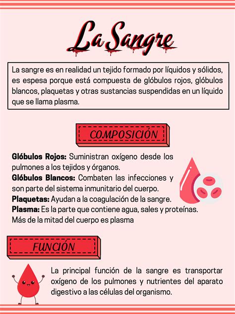 Mapa Conceptual De La Sangre Hematolog A La Sangrela Sangre La