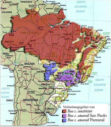 Die freie und zeitlich unbeschränkte. Karte Brasilien | Stöckl - Die Nr.1 Boa constrictor Seite ...