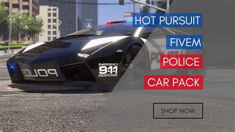 Give You A Police Car Pack For Fivem By Antonolofsso830 Fiverr