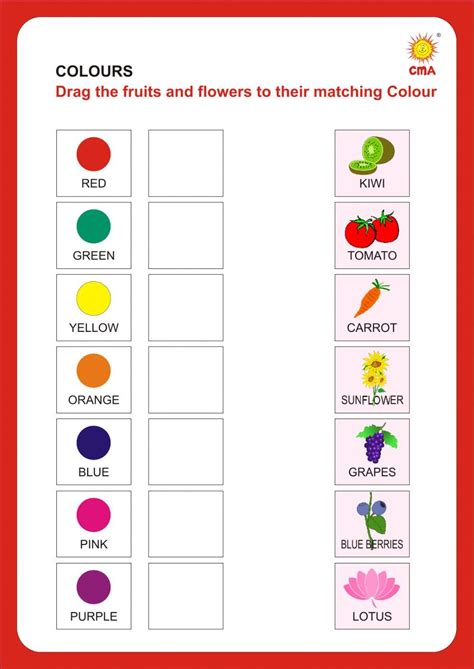 Match Colors Worksheets