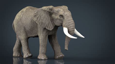 Elephant Free D Model D Printable Stl Cgtrader Com Vrogue Co