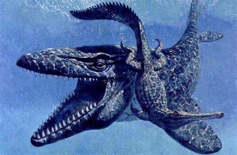 10 Terrifying Prehistoric Sea Monsters Listverse Monstros Marinhos