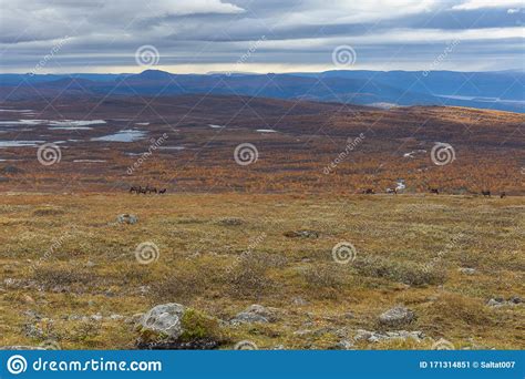 Sarek National Park In Lapland From The Sky Selective Focus Stock