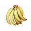 Banana  Nendran Semi / Full Ripe Buy Online Freshtohomecom