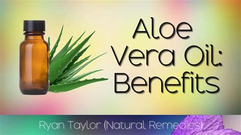 Aloe Vera Oil Benefits And Homemade Recipe Youtube