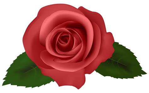 Clipart Roses Red 10 Free Cliparts Download Images On Clipground 2022