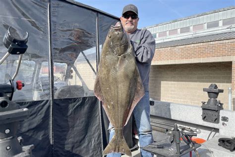 Outdoors Big Halibut Being Landed And Razor Clam Limit Will Increase Peninsula Daily News