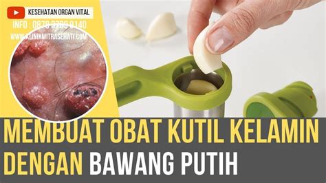 Cara Menyembuhkan Kutil Kelamin Dengan Bumbu Dapur Bawang Putih Youtube