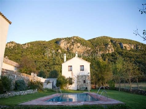 Educación 18/08/2020 ascun develó que matrículas universitarias podrían caer 25% en el segundo. Casa Rural El Vihuelo - El Bosque (Cádiz)