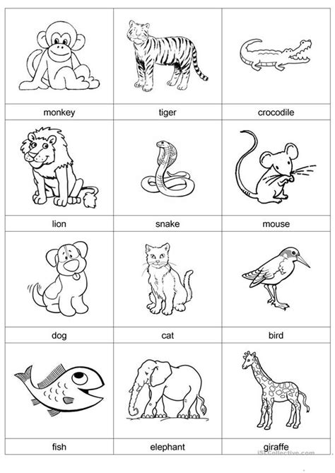 Animal Cards Worksheet Free Esl Printable Worksheets