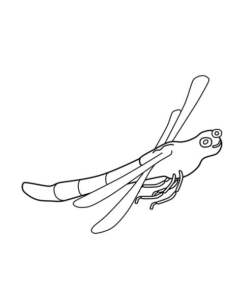 1080 x 1080 use the download button to see the full image of dragon fly coloring download, and download it to your computer. Free Printable Dragonfly Coloring Pages For Kids