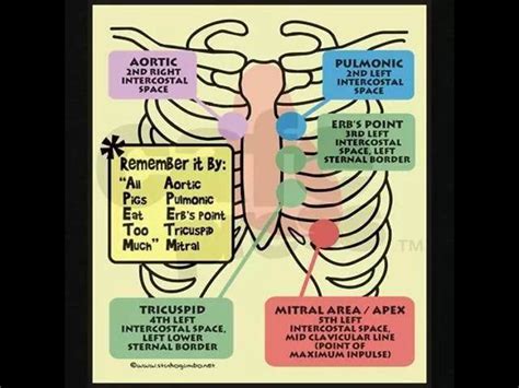 Pin By Danielle Clarke On Nursing Nursing Mnemonics Nursing School