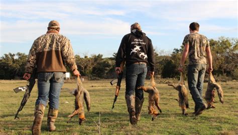 Texas Varmint Hunts Guided Predator And Small Varmint Hunts Prone