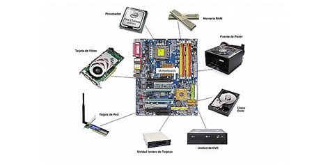 Triazs Partes Del Computador Y Sus Funciones Hardware