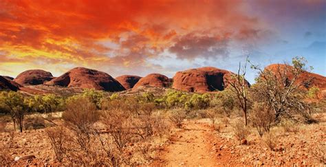 Sopravvivere Nelloutback Australiano Portale Australia