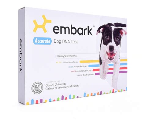 Dna Testing For Mixed Breed Dogs What You Need To Know
