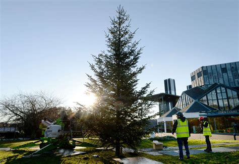 30ft Christmas Tree Arrives At Eden Court In Inverness