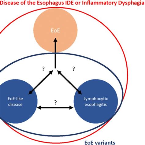 Potential Classification Of Eoe Like Disease And Lymphocytic