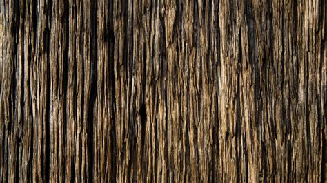 Free Download Download Texture Tree Wood Texture Background Wood