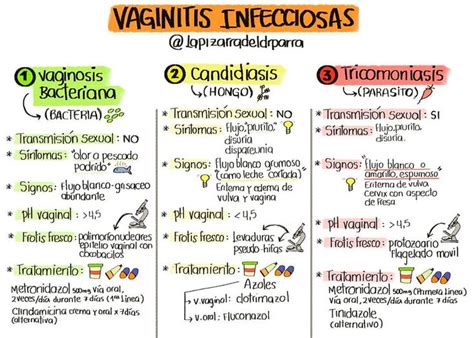 VAGINITIS INFECCIOSAS VAGINOSIS BACTERIANA Bacteria