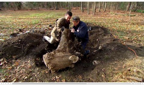 How To Remove A Tree Stump Video And Instructions This Old House