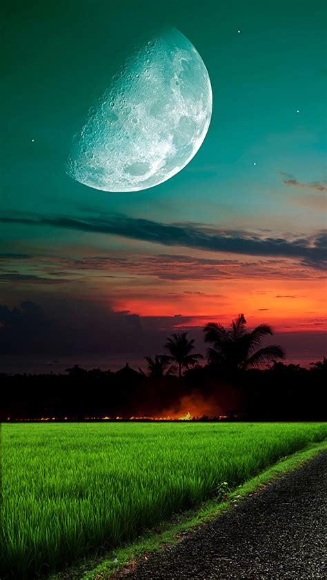 Moon And Sky Grass Wallpaper For Iphone 11 Pro Max X