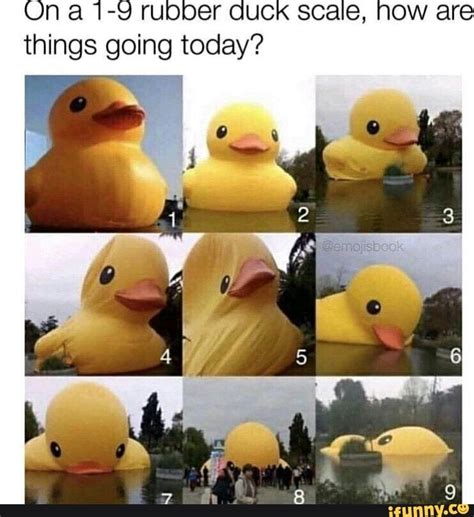 on a 1 9 rubber duck scale how are things going today 1 duck memes funny pictures can