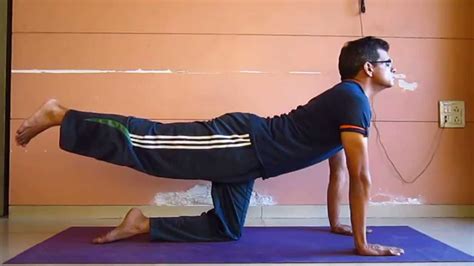 Discover Marjariasana Yoga Pose Latest Vova Edu Vn