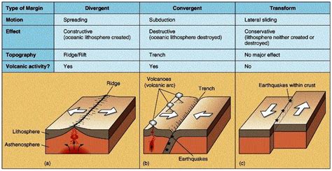 12 Facts You Should Know About Plate Tectonics Geology In