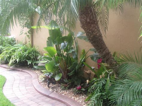 Tropical Florida Tropical Landscape Miami